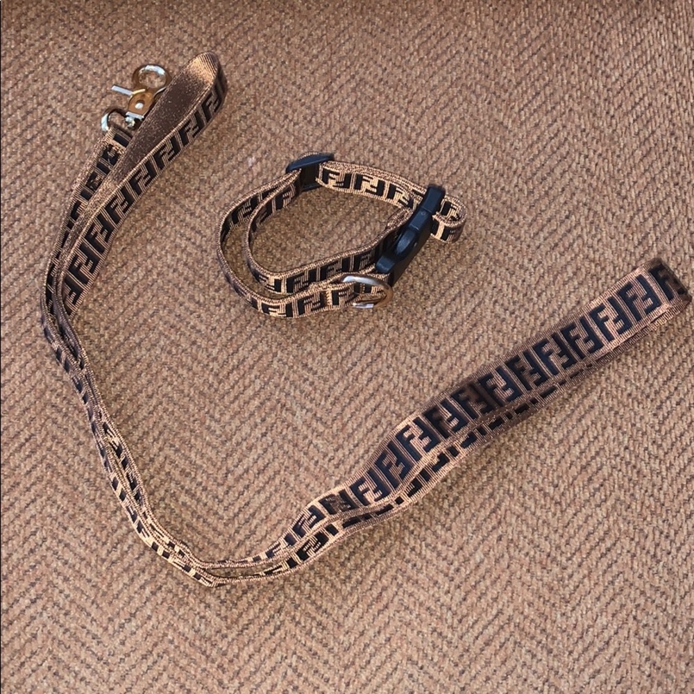 Dog leash and collar never used